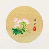 M.Y. TCM Classroom