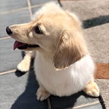 Stevehuang