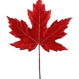 Blame Canada