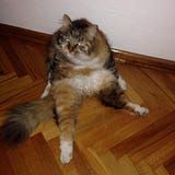Esra Yetis