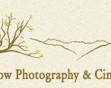 Wedding Photographer