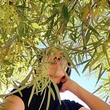 Denise Nichole Andrews