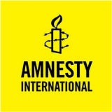 Amnesty Insights