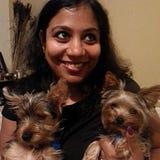 seema vijayi