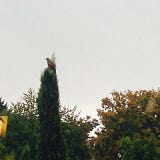 Uebersinnlos