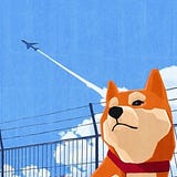狗狗