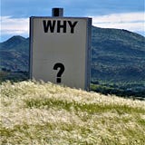 Z_Apostrophe