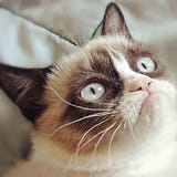 Kirill