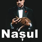 Filmul Inchisoarea Ingerilor 1994 Online Subtitrat Complet De Filme Hd Online Full By Nașul Aug 2020 Medium
