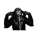 SINGE Network