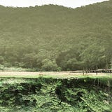札