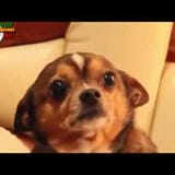 Bruno Alexander Mixán Vértiz