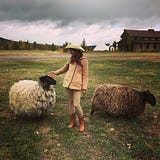 Julia Noran Johnston