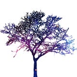 ELM Awakening
