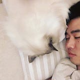 Chenjiabing