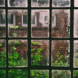 marika bianca