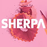 N11 Com Chose Sherpa As The Solutions Partner For Ux Optimization By Sherpa Sherpa Experience Design Studio Medium