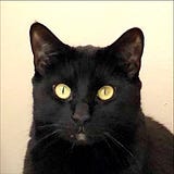 Joseph L. Savitz III