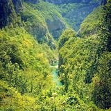 Charlotte Csn