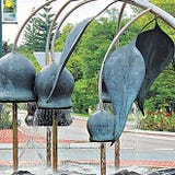 Kalamunda News