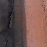 2019 Planetary Health Annual Meeting