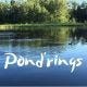 Pond’rings