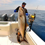 American Fishing