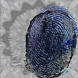 Evidence of…