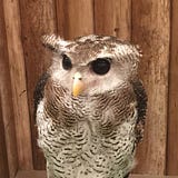 みやも