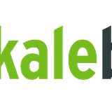 Lokalebasen