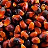 Le Dendê