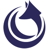 Airfox