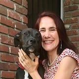 Guest Blog Post 3 Quick Tips On How To Tame A Semi Feral Cat In Shadow S Exact Words By Da Al Art Marketing