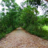 Anurag Verma