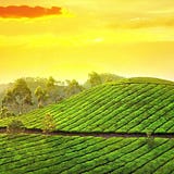 gokerala trip