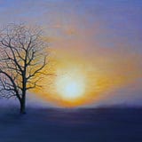 Tim Bragg
