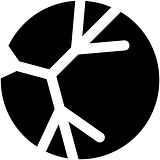 Hyphae