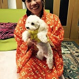 Marie Sia