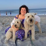 Amy Laskin