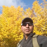 Lokesh Kumar
