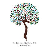 Dr. Cameron Quillian DC