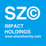 Shanzhai City Holdings