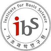 IBS Data Science Group