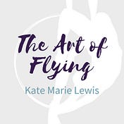 The Art Of Flying Artist