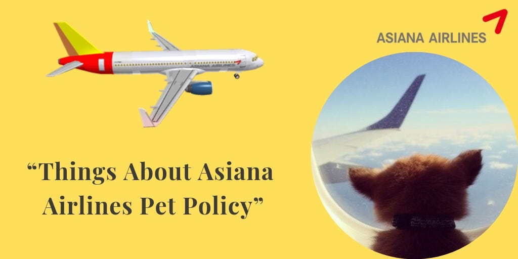 asiana airlines hand carry weight