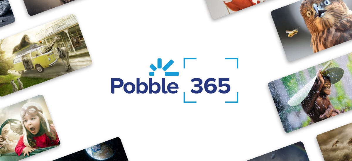 Image result for pobble 365 logo