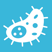 I Got Pregnant After Taking The Morning After Pill Refinery29