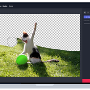 Video Loops On Instagram Shortform Video Is Eating The World