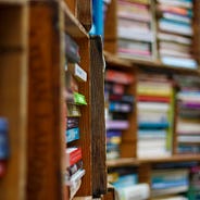 52 Stories 3 The Labrador Fiasco By Margaret Atwood By Matt Zandstra Medium