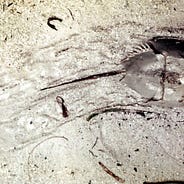 I M Not Lying I Began Teaching Physical Geology In By Roy Plotnick Medium